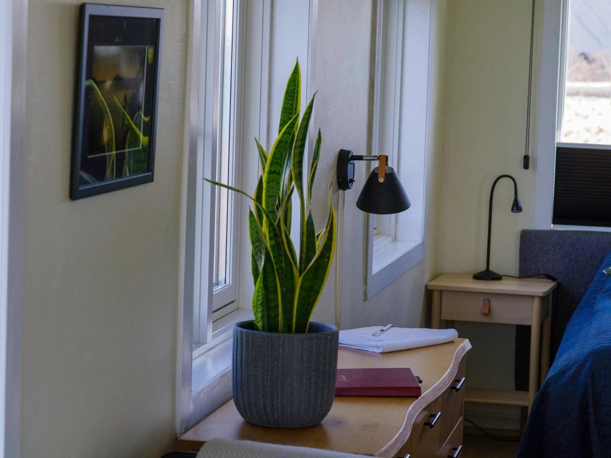 Myvo The Studio Apartment At Geiteyjarstroend 4 Reykjahlíð Exteriör bild